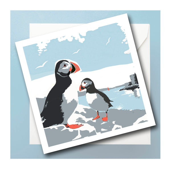 PUFFIN - wild swimming