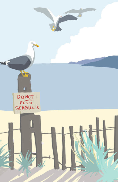 Don't Feed the Gulls - wild swimming