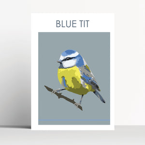 Blue Tit Print