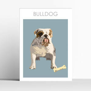 Bull Dog  Print