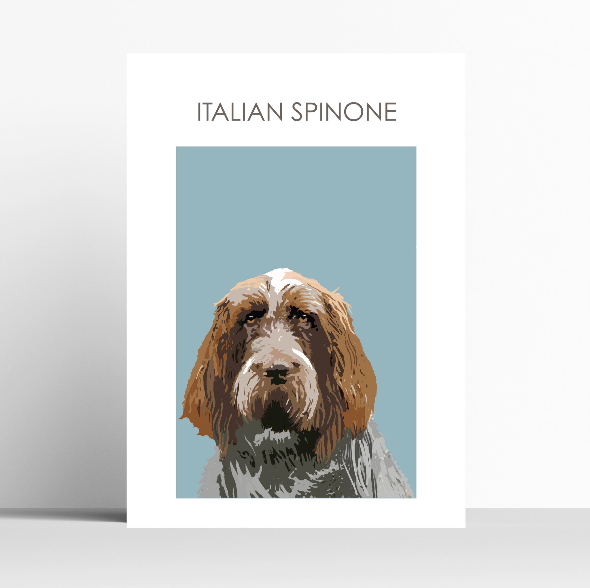 Italian Spinone Print