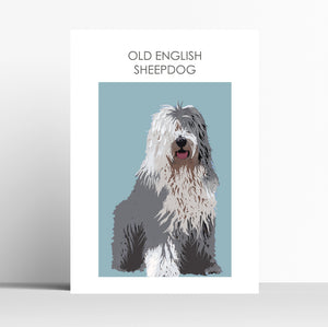 Old English Sheepdog Print
