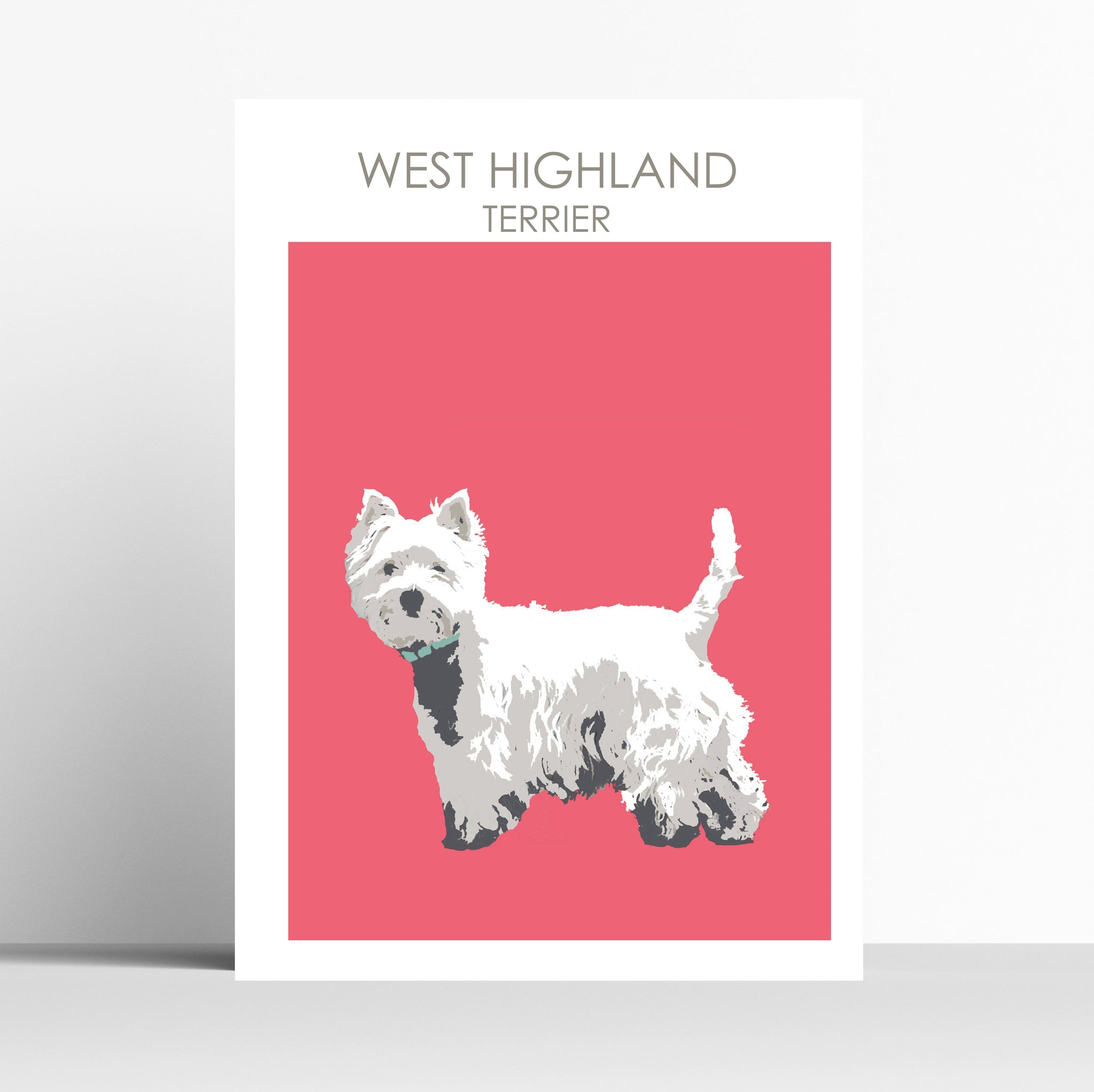 West Highland Terrier standing Print