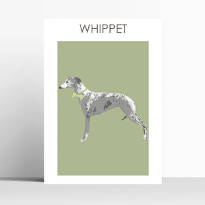 Whippet Print