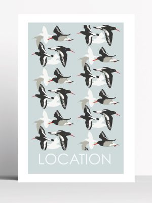 OYSTER CATCHER